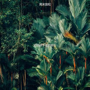 适合读丰富的音乐