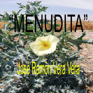 Menudita