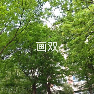 画双(cover 双笙/金莎)