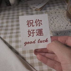 杀死那个石家庄人(女声弹唱)_菜包