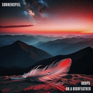 Drops on a birdfeather