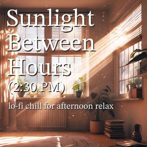 Sunlight Between Hours (2.30 PM)