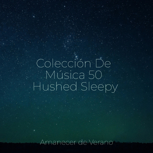 Encantadoras Llamas Nocturnas