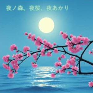 夜ノ森、夜桜、夜あかり