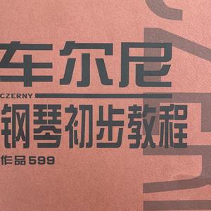 车尔尼第20条（翻自 车尔尼）