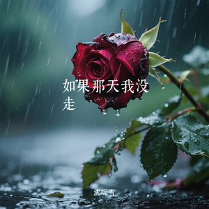 如果那天我没走