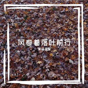 二度落花泪相似