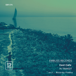 In Transit (Ricardo Piedra Remix)