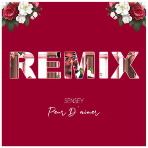 Peur d'aimer (Remix)