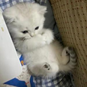 Say bye(prod by Lv9)