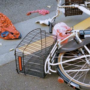 위로가 될지는 모르겠지만