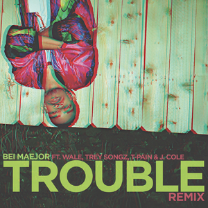 Trouble Remix (Explicit Version)