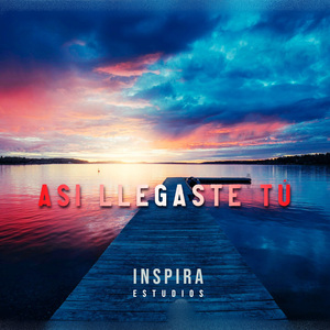 ASÍ LLEGASTE TÚ (Pista Musical Huayno)