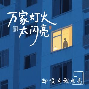 万家灯火太闪亮