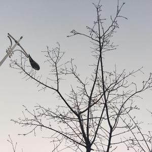 大江东去（PROD BY XVIBE/Z.J Phantom）