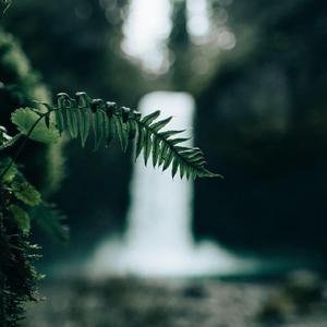 小桥流水