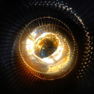 For The Love Of Life