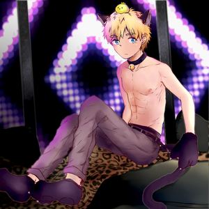 夜猫（Cover 叮铛）