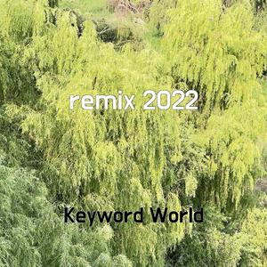 remix 2022