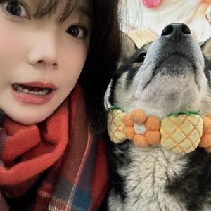 坏女孩（女生独唱版）