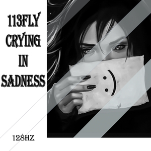 113Fly Crying in Sadness