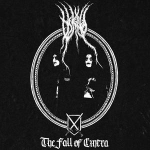 The Night of the Long Fangs