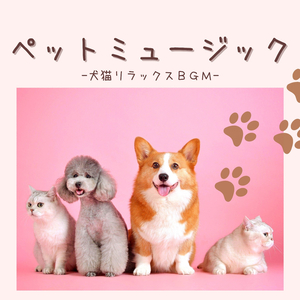 散歩リラックス音楽