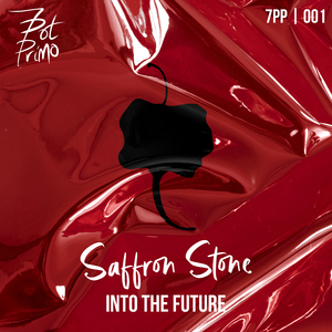 Into The Future (Original Mix)