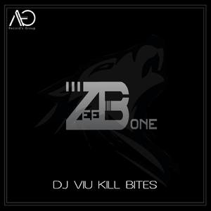DJ VIU KILL BITES