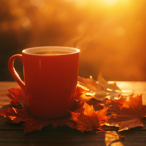 癒しを与えるギターの旋律