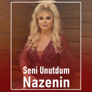 Səni Unutdum