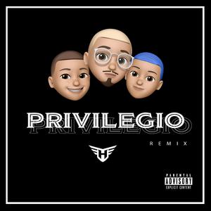Privilegio (feat. Ayoherzzz & Jay M) (Remix) (Remix)