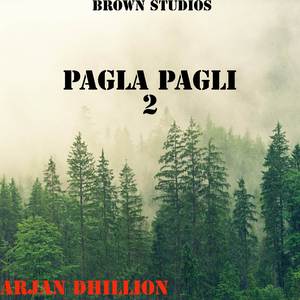 Pagla Pagli 2