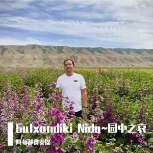 Gulxandiki Nida~园中之哀