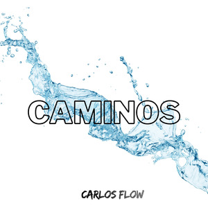 CAMINOS
