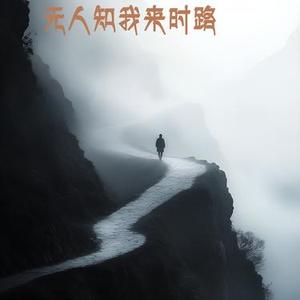 无人知我来时路