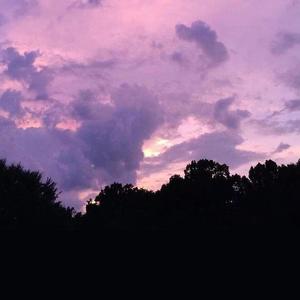 贩卖日落_隔壁阿雯wen（翻自 爱吃鬼栀栀）