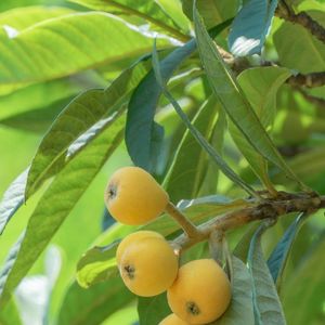 纸卷展开的智慧