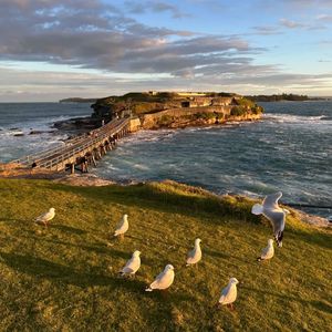 大鱼（怀孕时必听音乐）