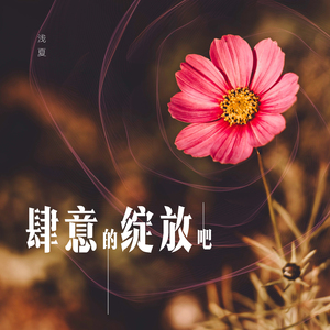 我缝缝补补的爱到此为止了