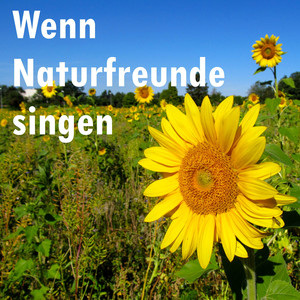 Ich warte auf ein hoffnungsvolles Zeichen
