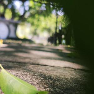 别,爱（翻自 阳逸晨、苏懒懒）