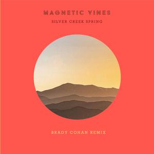 Silver Creek Spring (Brady Cohan Remix)