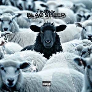 Blac sheep