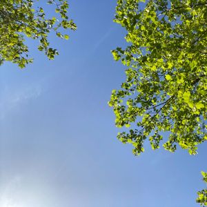 废物英雄 Prod Kumark