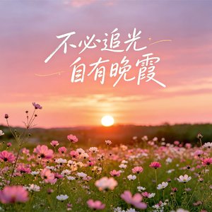 不必追光     自有晚霞