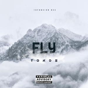 FLY