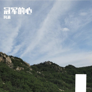 冠军的心