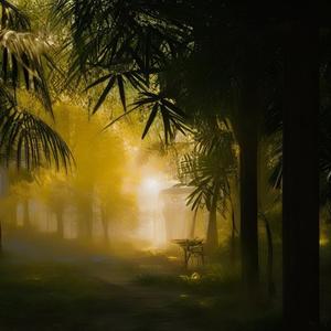 어둠을 밝히는 빛