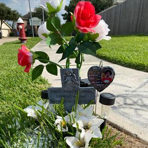 IT'S YOUR LIFE YOU OWE